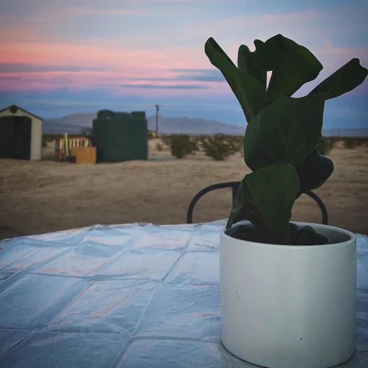 טוונטיניין פאלמס Serene Modern Home Backdoor With Great Wifi, Games, Movies, Patio Seating And Bbq Easy Access To North Joshua Tree National Park In 10 Minutes מראה חיצוני תמונה